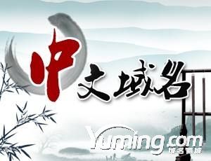 英文域名山寨官網頻出，中文域名或成為新的品牌符號