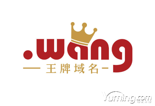 位居全球性通用頂級域名排行第五的.wang魅力何在?