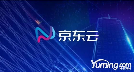 京東是怎樣輸掉“京東云”jd-cloud.cn仲裁案？