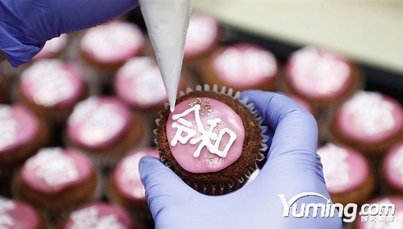 日本新年號公布  令和域名遭瘋搶