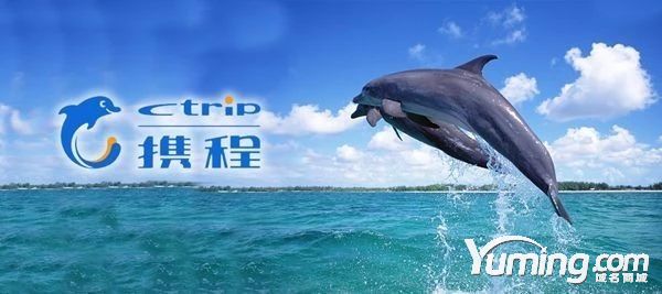 錯失良機，多花299萬買下品牌域名，如今市值超千億！
