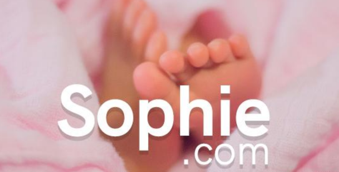 充滿父愛的域名Sophie.com，兩位域名投資人之間的交易