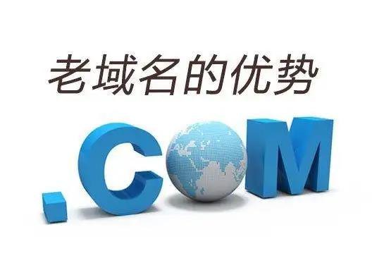 1667446589324393.jpg 老域名有什么好處129.jpg