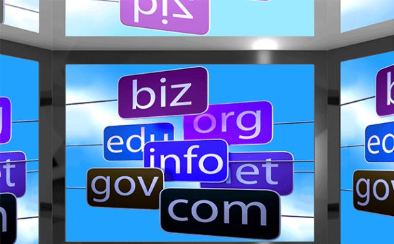 61.什么是biz域名怎么注冊571.jpg