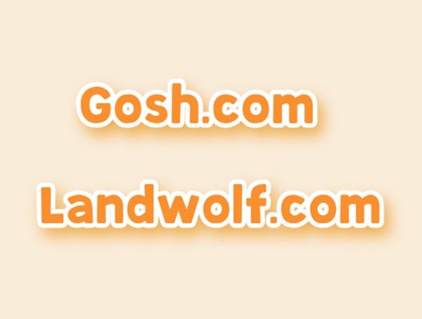 多枚大額域名交易引關(guān)注：Landwolf.com以約30萬元成交