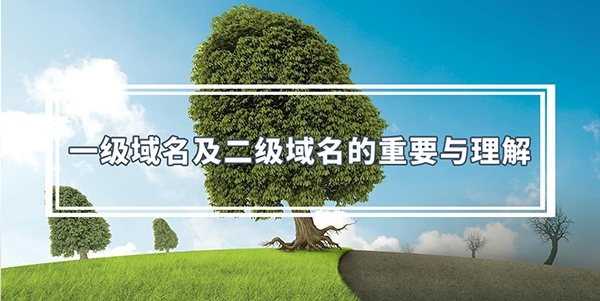 頂級域名和二級域名的區別是什么?