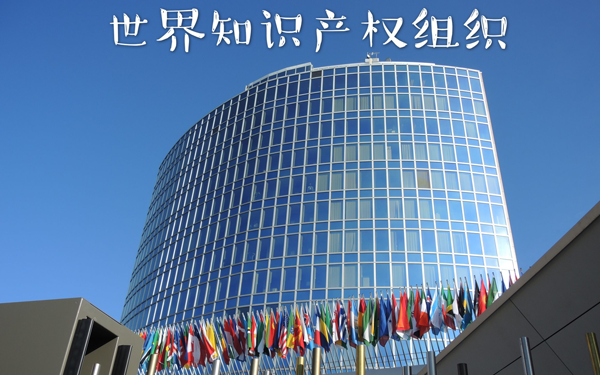 常見的域名爭(zhēng)議解決機(jī)構(gòu)有哪些?