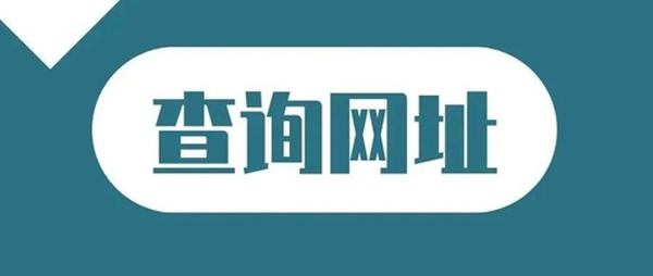 怎樣查公司企業域名?5常見且有效的查詢方法