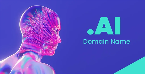 安圭拉.ai 域名：兩月激增 4 萬(wàn)，開(kāi)啟全新戰(zhàn)略格局
