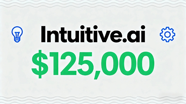 Intuitive.ai以125,000美元成交，躋身年度.AI域名Top20