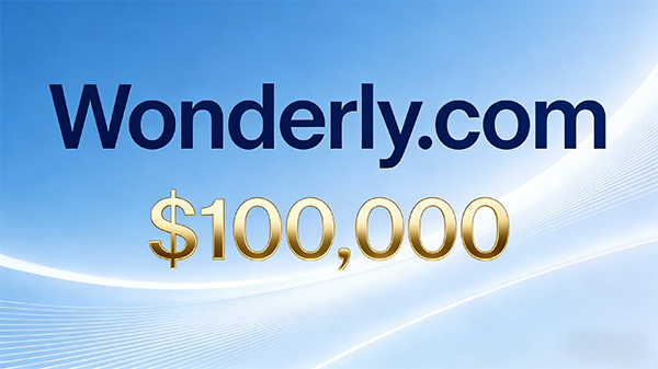 Wonderly.com以10萬美元二次成交，13年身價暴漲32倍!