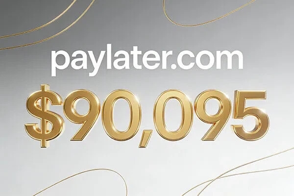paylater.com以90,095美元落槌，精準貼合BNPL先買后付黃金賽道