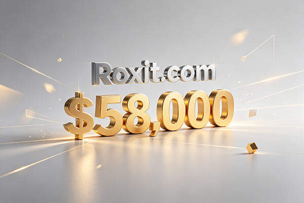 Roxit.com以58,000美元成交，硬核科技類域名成市場新熱點