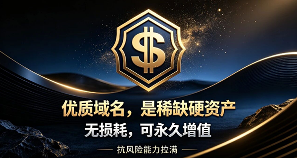 當AI抹平一切差距，域名將成為企業最后的護城河