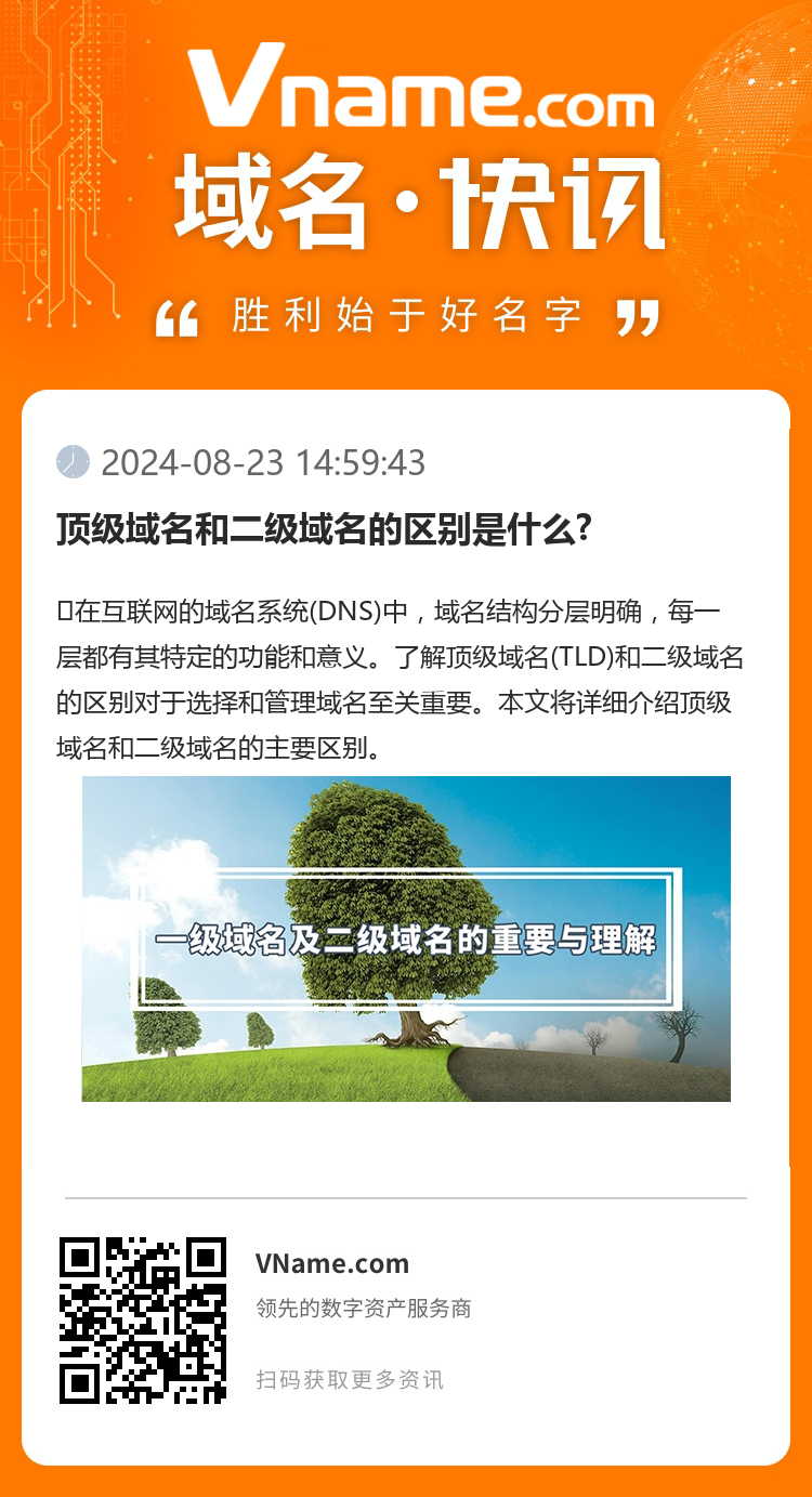 頂級域名和二級域名的區(qū)別是什么?
