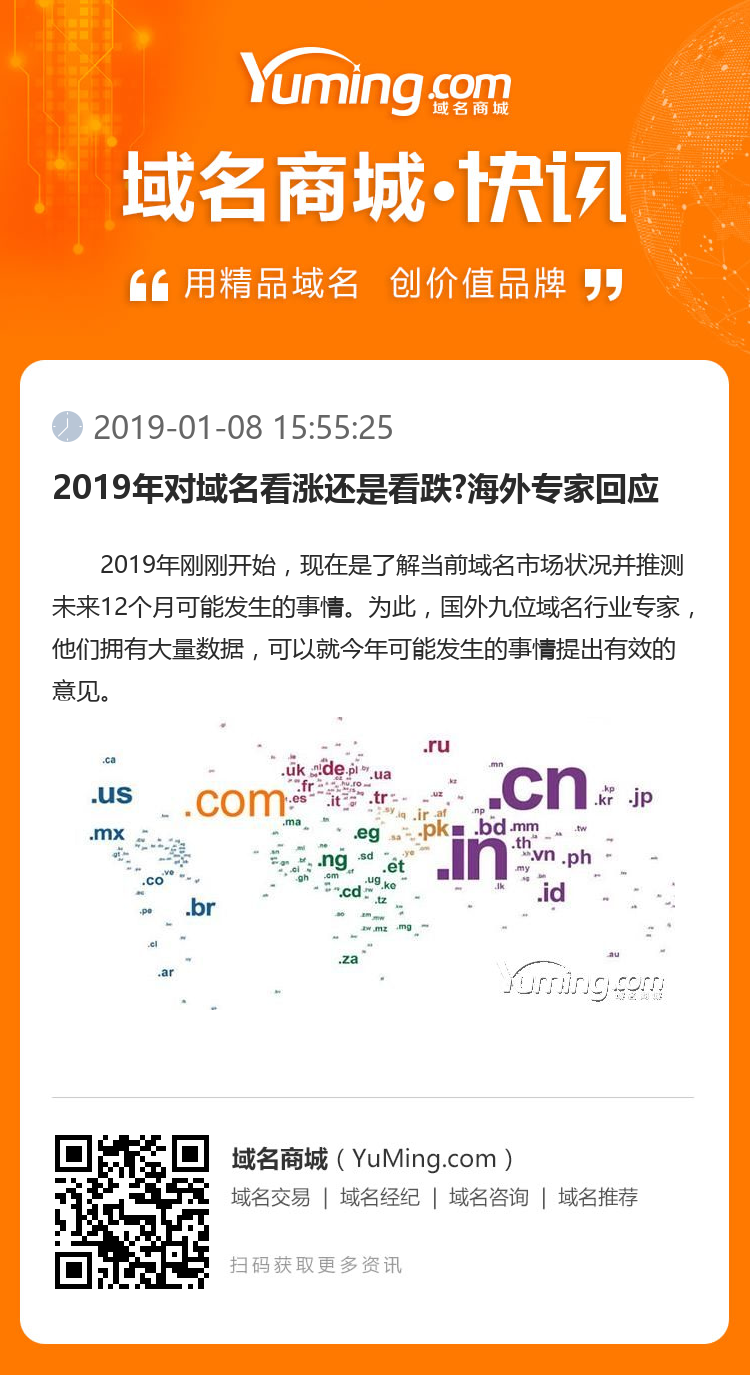 2019年對域名看漲還是看跌?海外專家回應